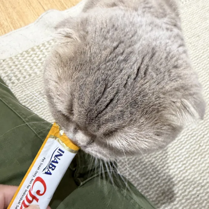 Cate V.