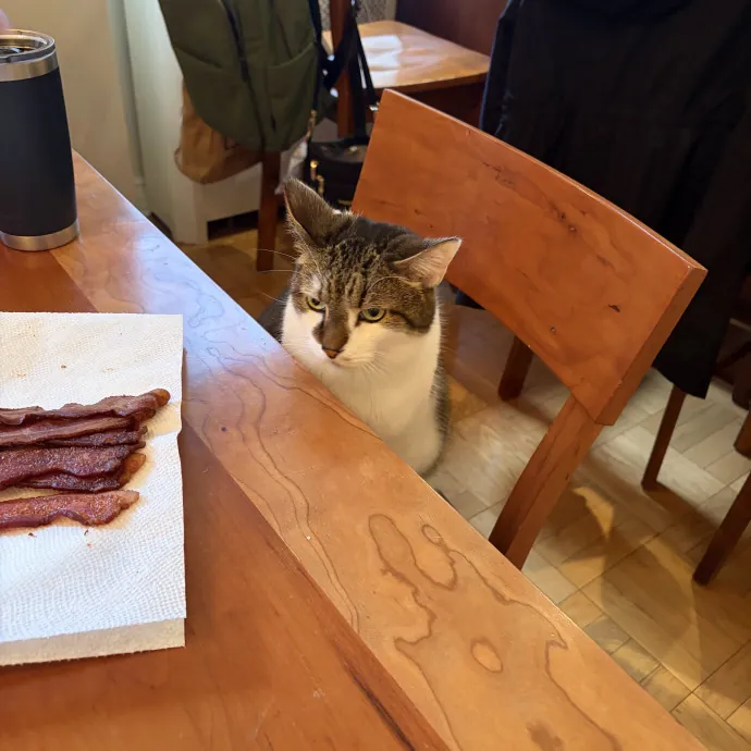 Cate V.