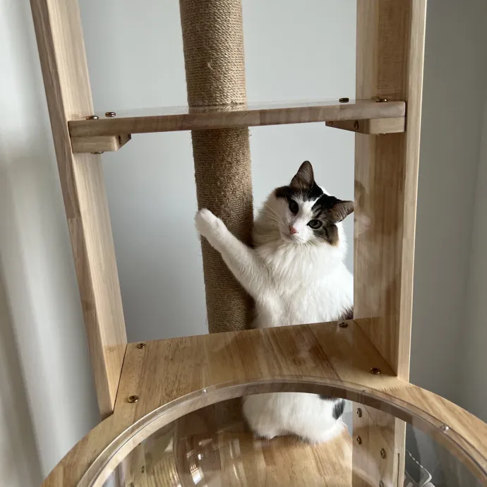 Your Pawsitively Purrrfect Pet Pal