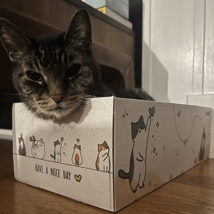 Your Pawsitively Purrrfect Pet Pal
