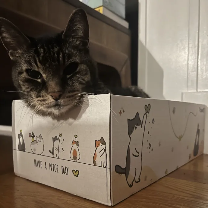 Your Pawsitively Purrrfect Pet Pal