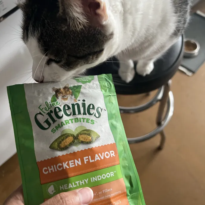 Your Pawsitively Purrrfect Pet Pal