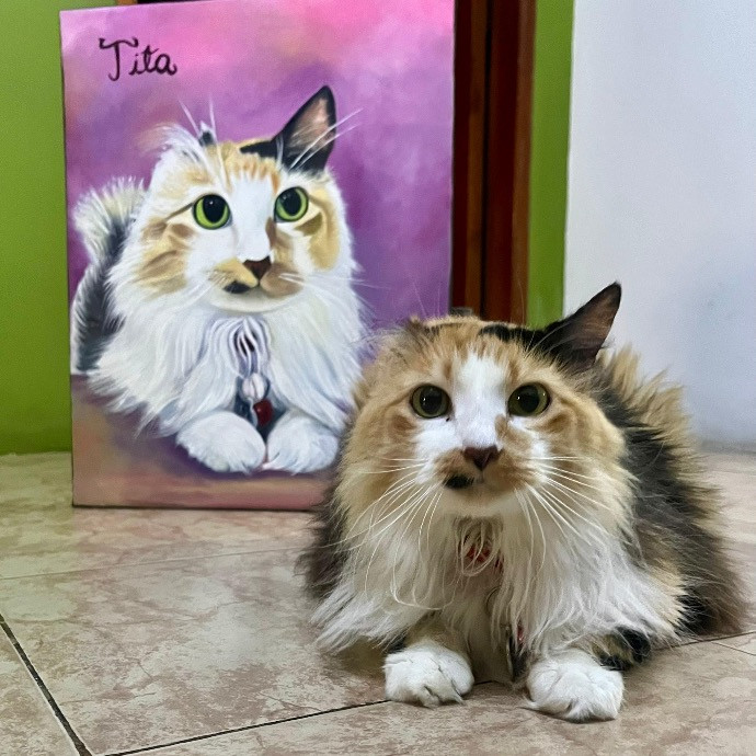 Cat Care - Loving Your Cats Like Mine