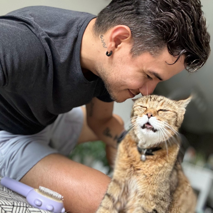 Cat Care - Loving Your Cats Like Mine