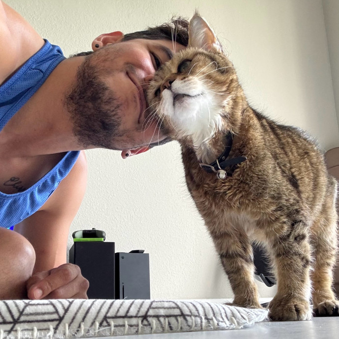Cat Care - Loving Your Cats Like Mine
