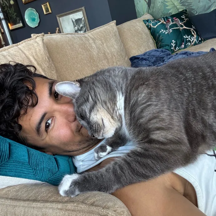 Cat Care - Loving Your Cats Like Mine