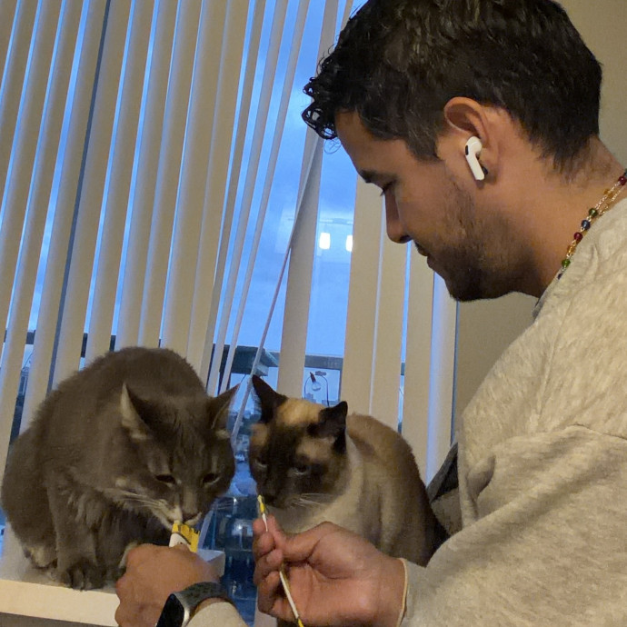 Cat Care - Loving Your Cats Like Mine