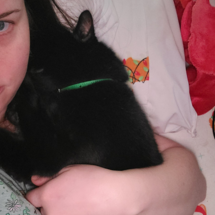 Experienced Caring Cat Sitter
