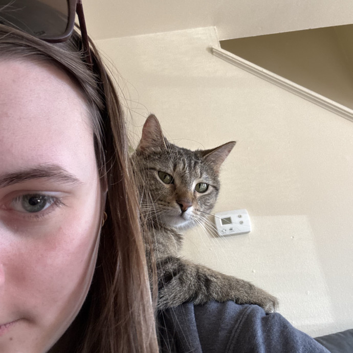 Trustworthy And Reliable Cat Sitter photo 2