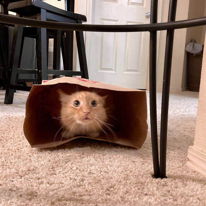 Mari's Cat Care