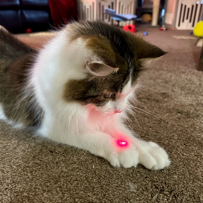Mari's Cat Care