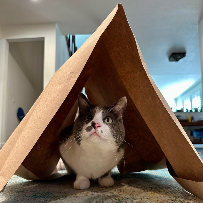 Mari's Cat Care