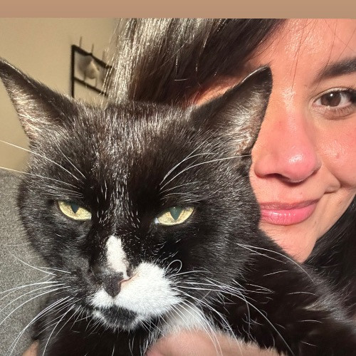 Bianca's Cat-Tastic Care