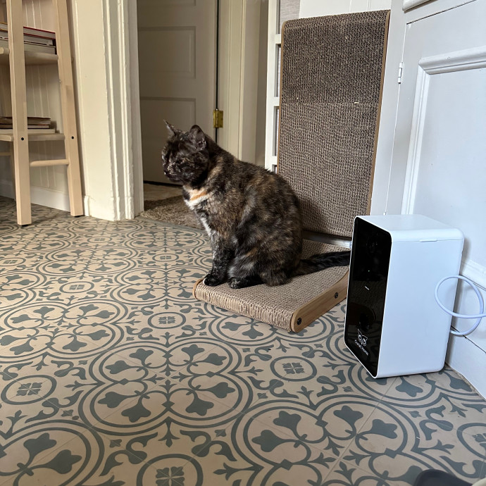 Bianca's Cat-Tastic Care