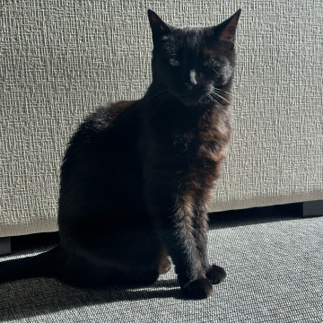 Photo Photo