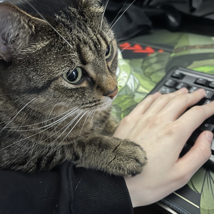 Christopher C To Care For Kitties
