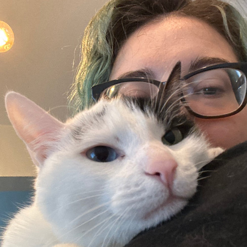 The Neighborhood Cat Lady Cat Care