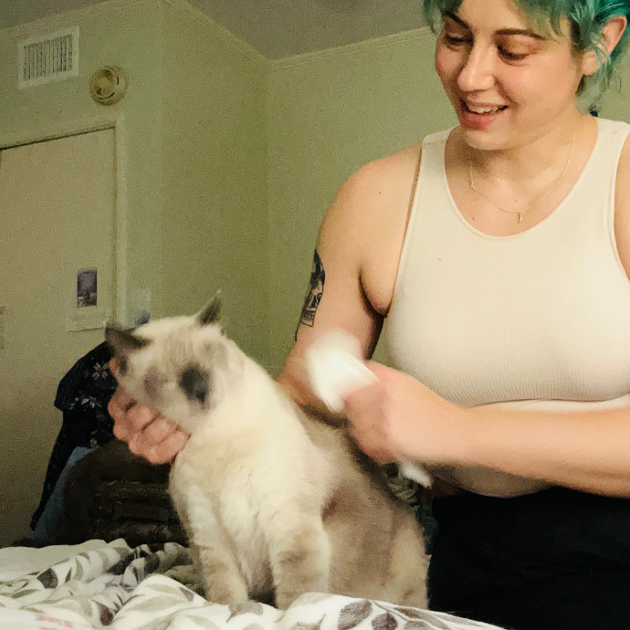 The Neighborhood Cat Lady Cat Care