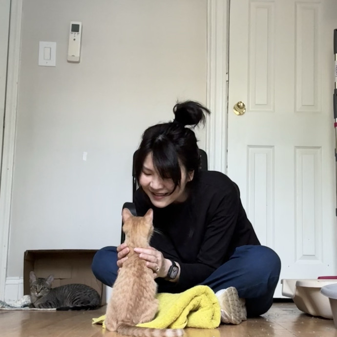 Patient Reliable Caring Cat Sitter