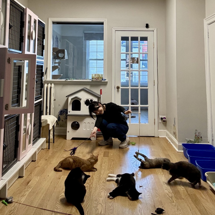 Patient Reliable Caring Cat Sitter