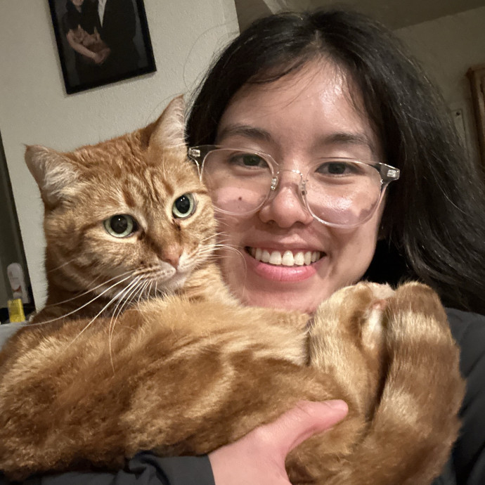 The Cat Curator