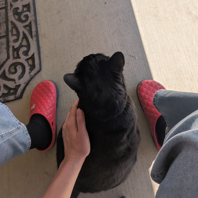Calm Care For All Kinds Of Cats