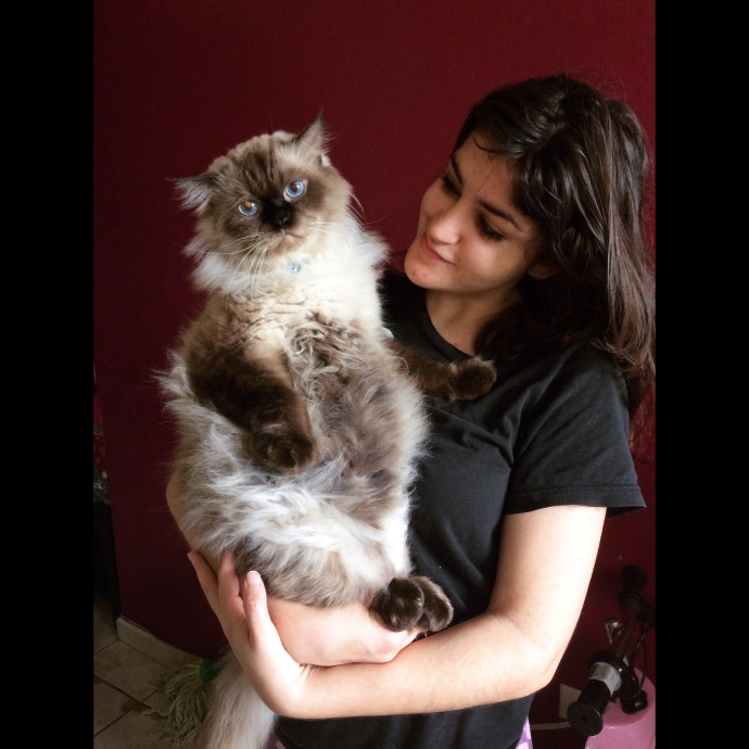 The Cat Master