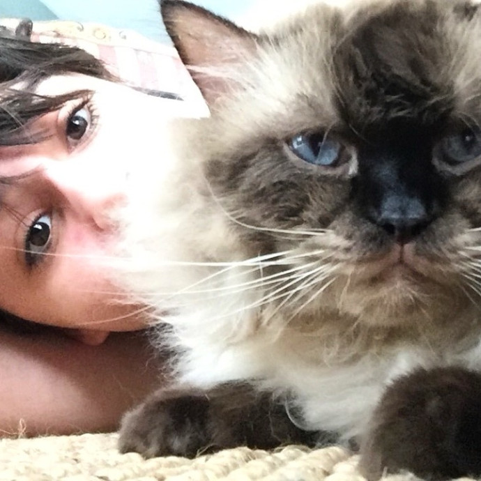 The Cat Master