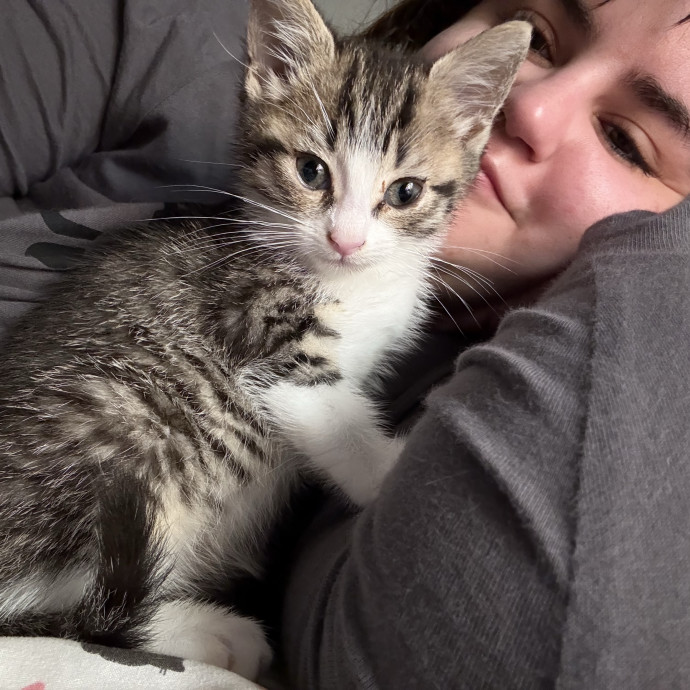 The Cat Master photo 2