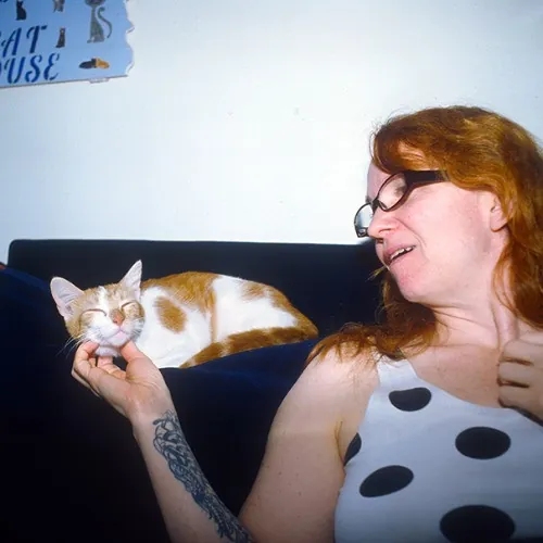 Adventures In Orange County California Kitty-Sitting