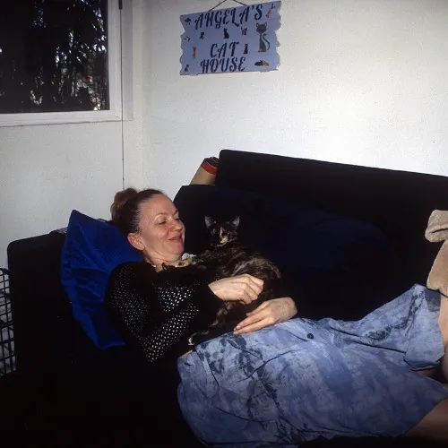 Adventures In Orange County California Kitty-Sitting