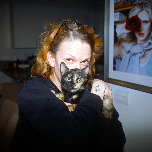 Adventures In Orange County California Kitty-Sitting