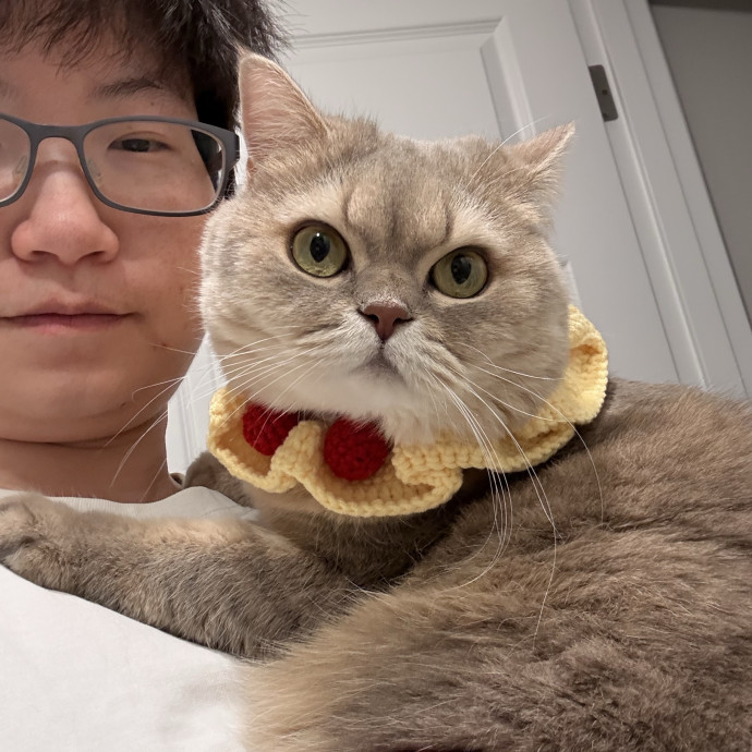 Cat Mom Of 4  Caring  Attentive