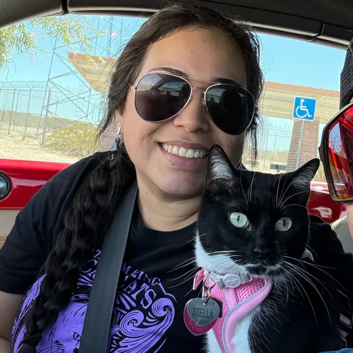 Warm Attentive Cat Sitter