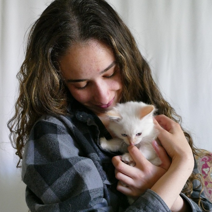 Nina's Kitty Corner photo 2