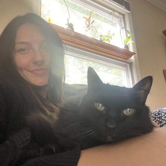 Purrfect Kitty Care
