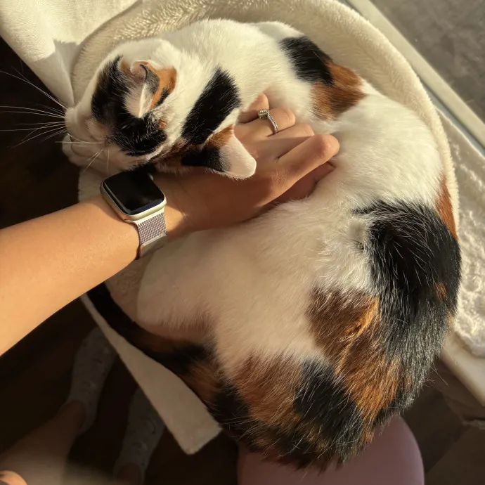 Your Fur Baby's New Best Friend