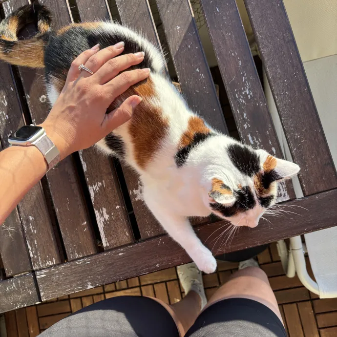 Your Fur Baby's New Best Friend
