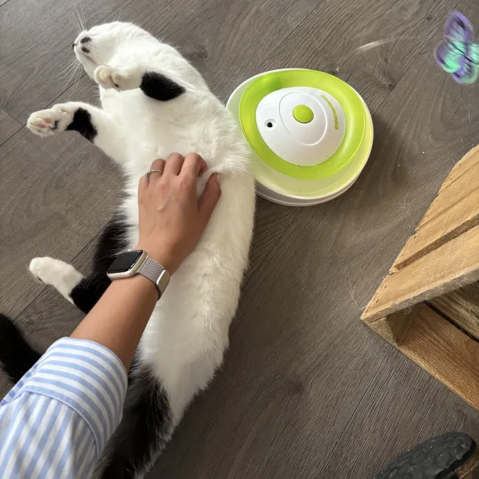 Your Fur Baby's New Best Friend