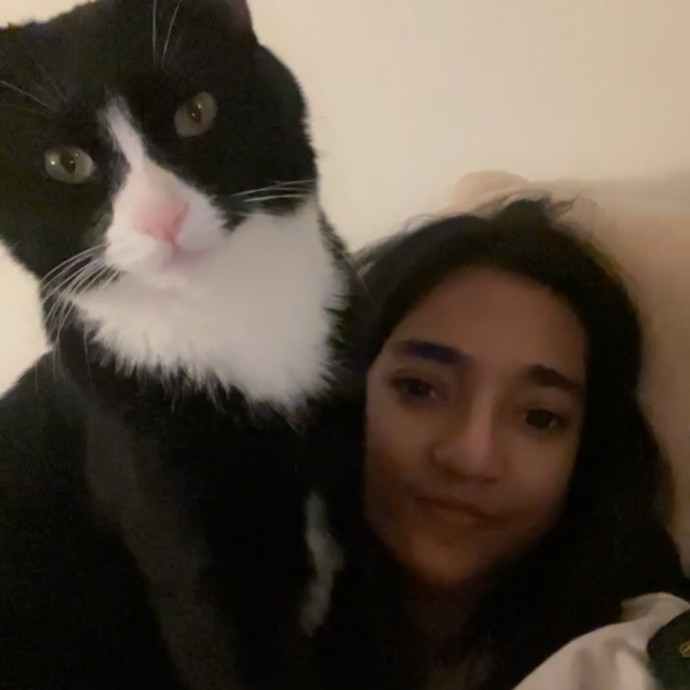 Snow The Whisker Watcher