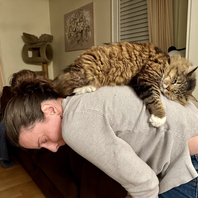 Your Go-To Cat Sitter photo 2