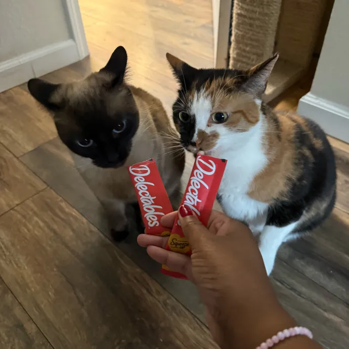 Paws And Relax Tailored Kitty Care