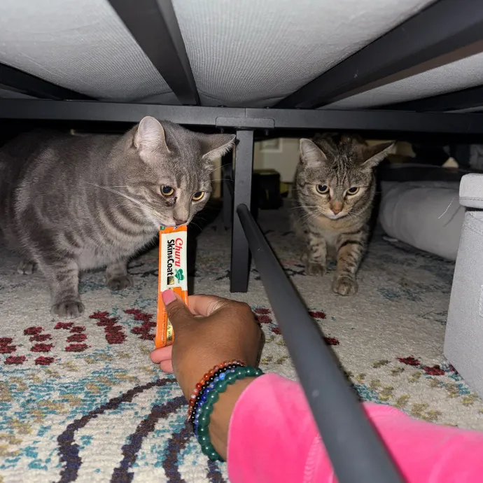 Paws And Relax Tailored Kitty Care