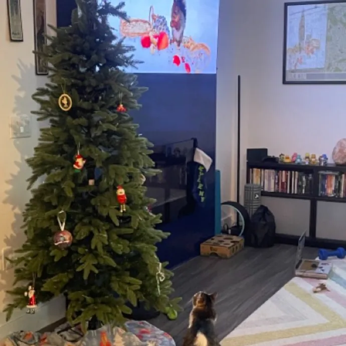 The Cat's Meow - Experienced Cat Caretaker