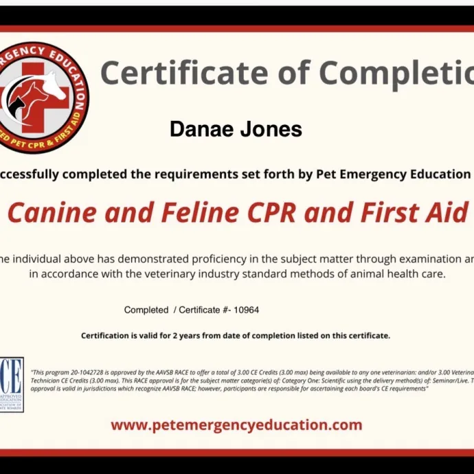 The Cat's Meow - Experienced Cat Caretaker