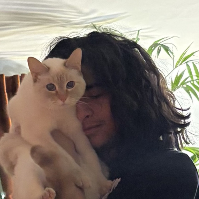 I Love Cats photo 3