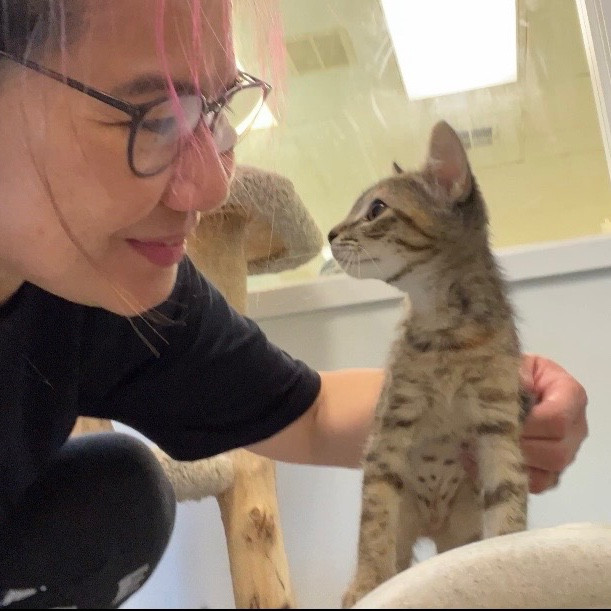 Your Paw-Fect Companion