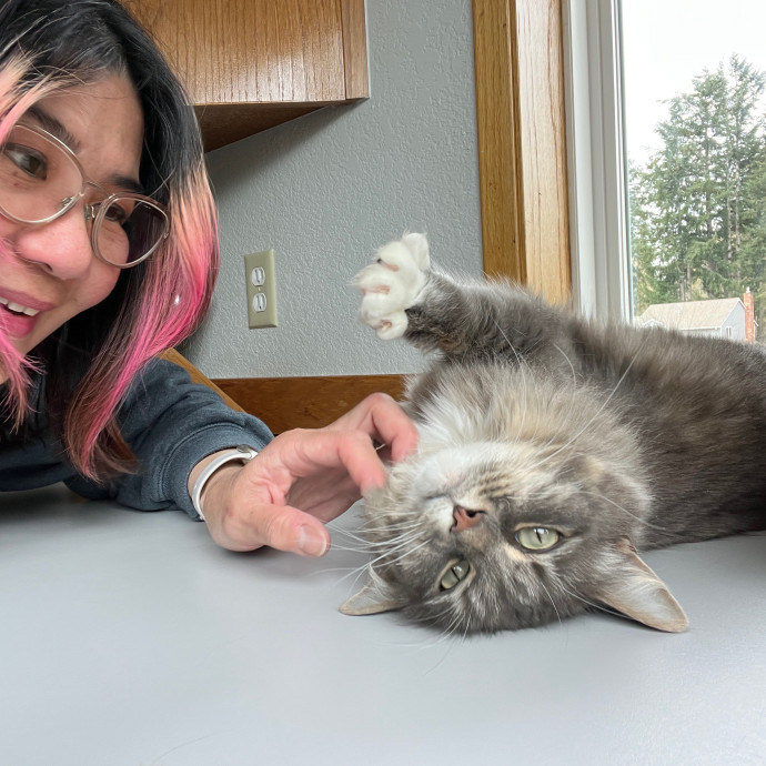 Your Paw-Fect Companion