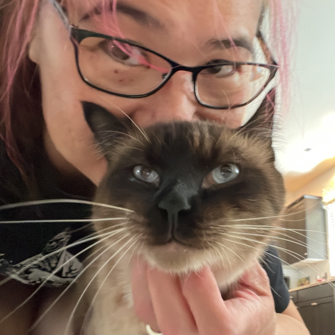 Your Paw-Fect Companion