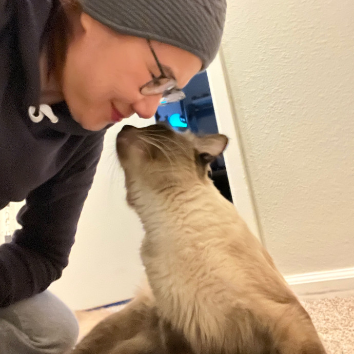 Your Paw-Fect Companion